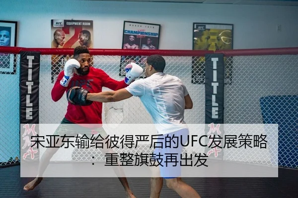 宋亚东输给彼得严后的UFC发展策略：重整旗鼓再出发