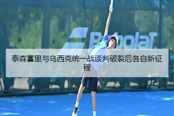 泰森富里与乌西克统一战谈判破裂后各自新征程