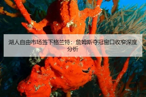 hu-ren-zi-you-shi-chang-qian-xia-ge-lan-te-zhan-mu-si-duo-guan-chuang-kou-shou-zhai-shen-du-fen-xi-2-478.jpg