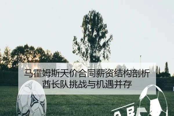 ma-huo-mu-si-tian-jia-he-tong-xin-zi-jie-gou-pou-xi-qiu-zhang-dui-tiao-zhan-yu-ji-yu-bing-cun-3-235.jpg
