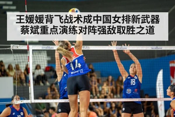 volleyball match